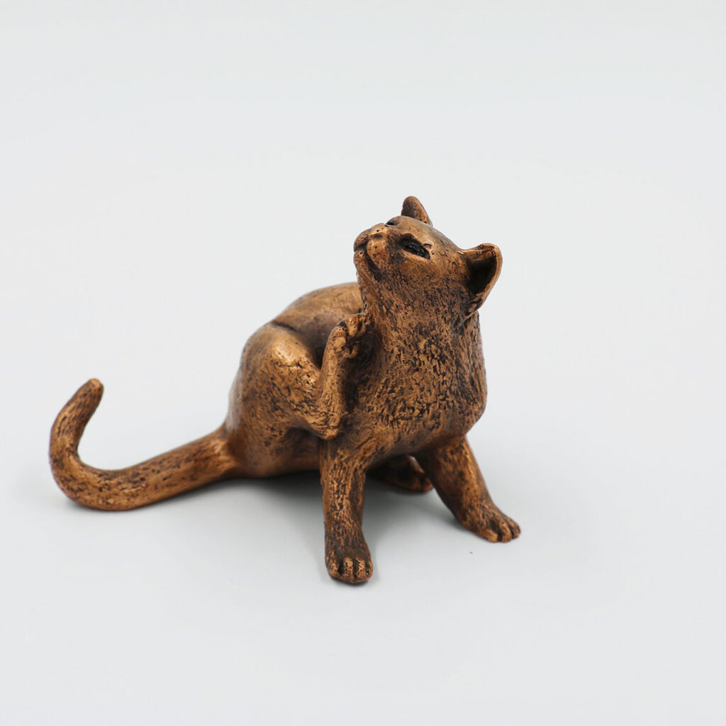 Katze "kratzen"