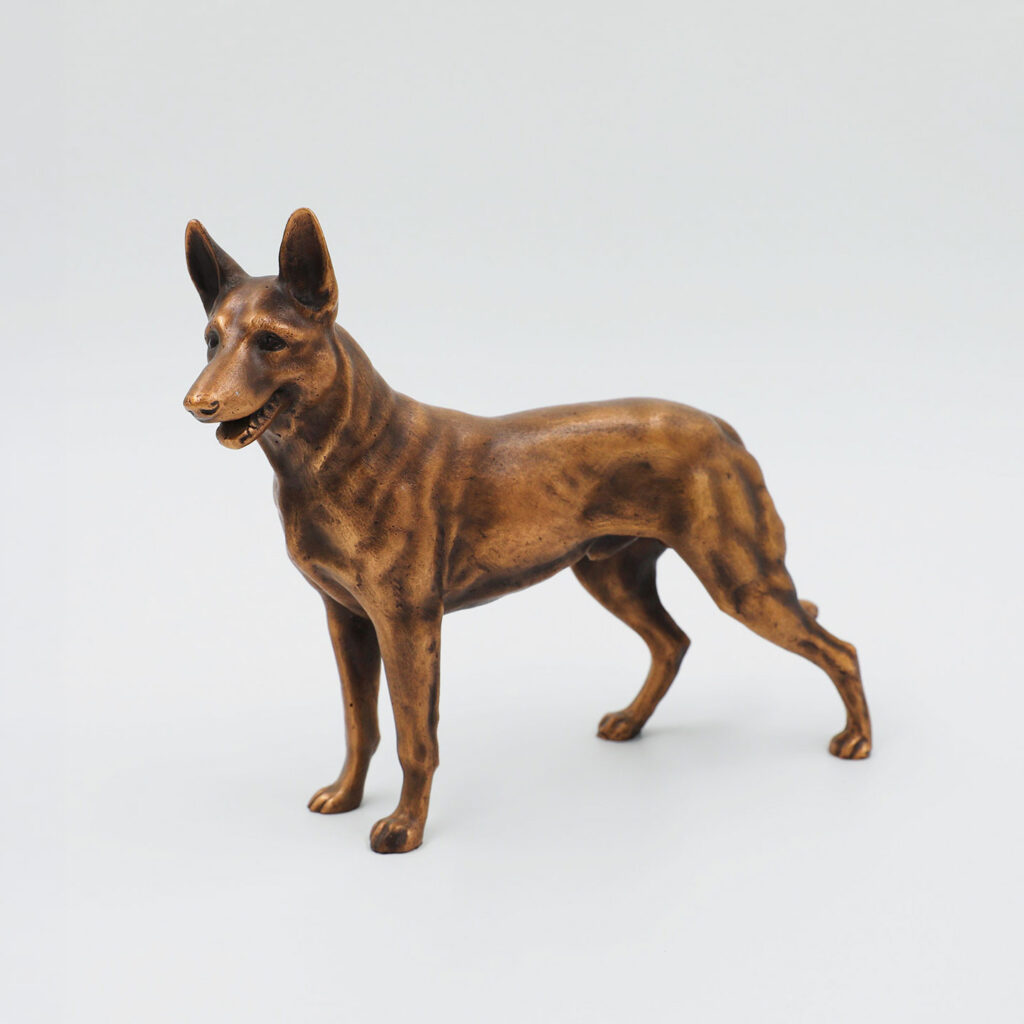 Schäferhund stehend