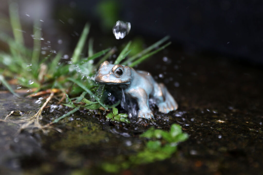 frosch garten
