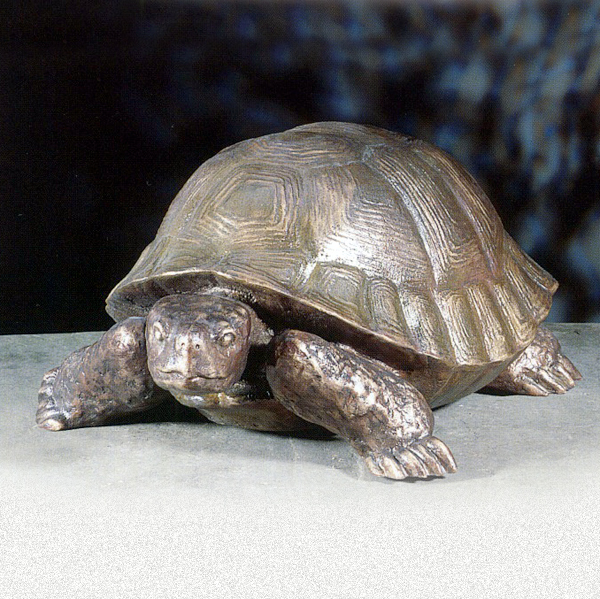 Schildkröte