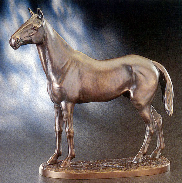 Pferd, stehend
