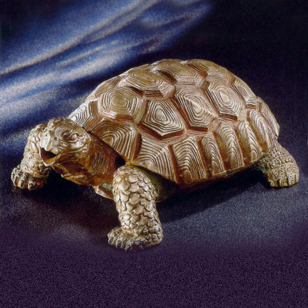 Schildkröte