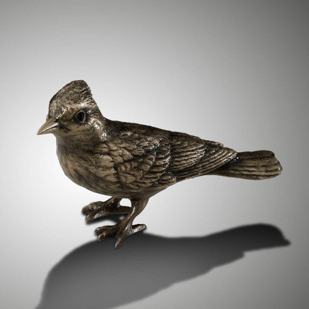 Vogel
