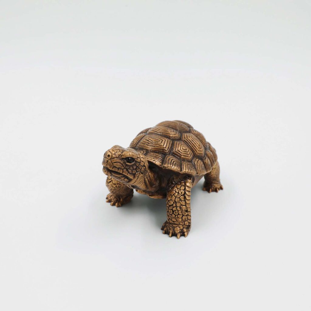 Bronze-Schildkröte