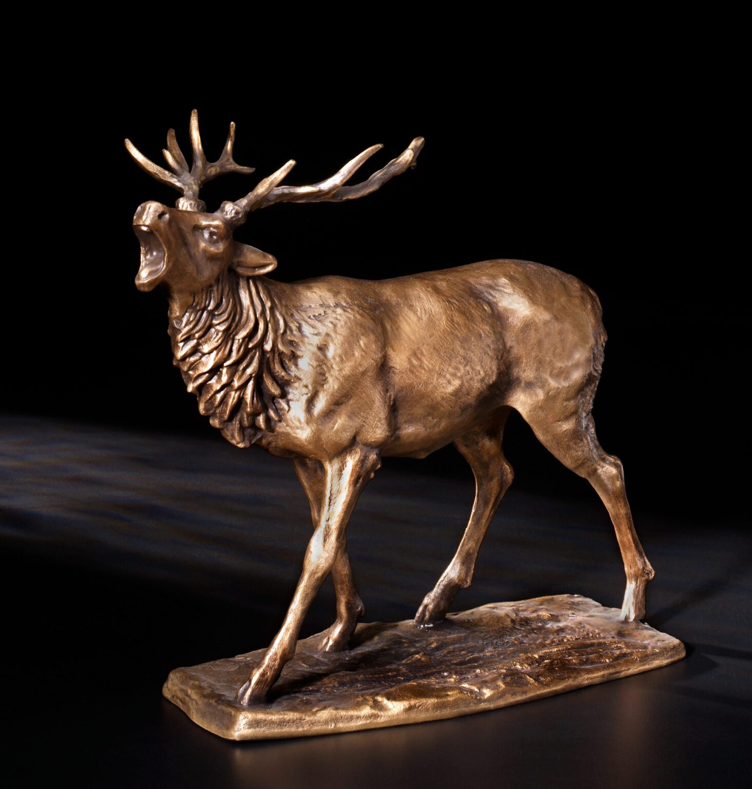 Hirsch