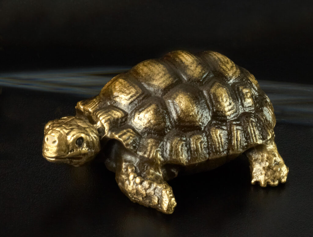 Schildkröte