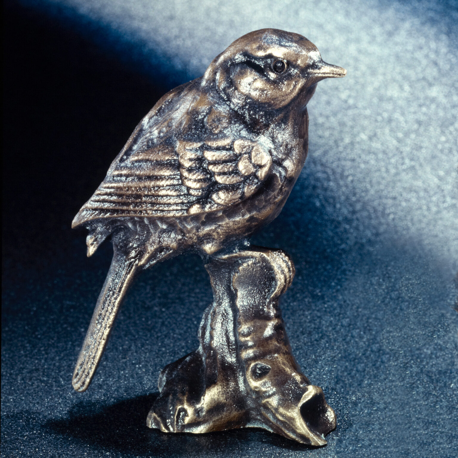 Singvogel