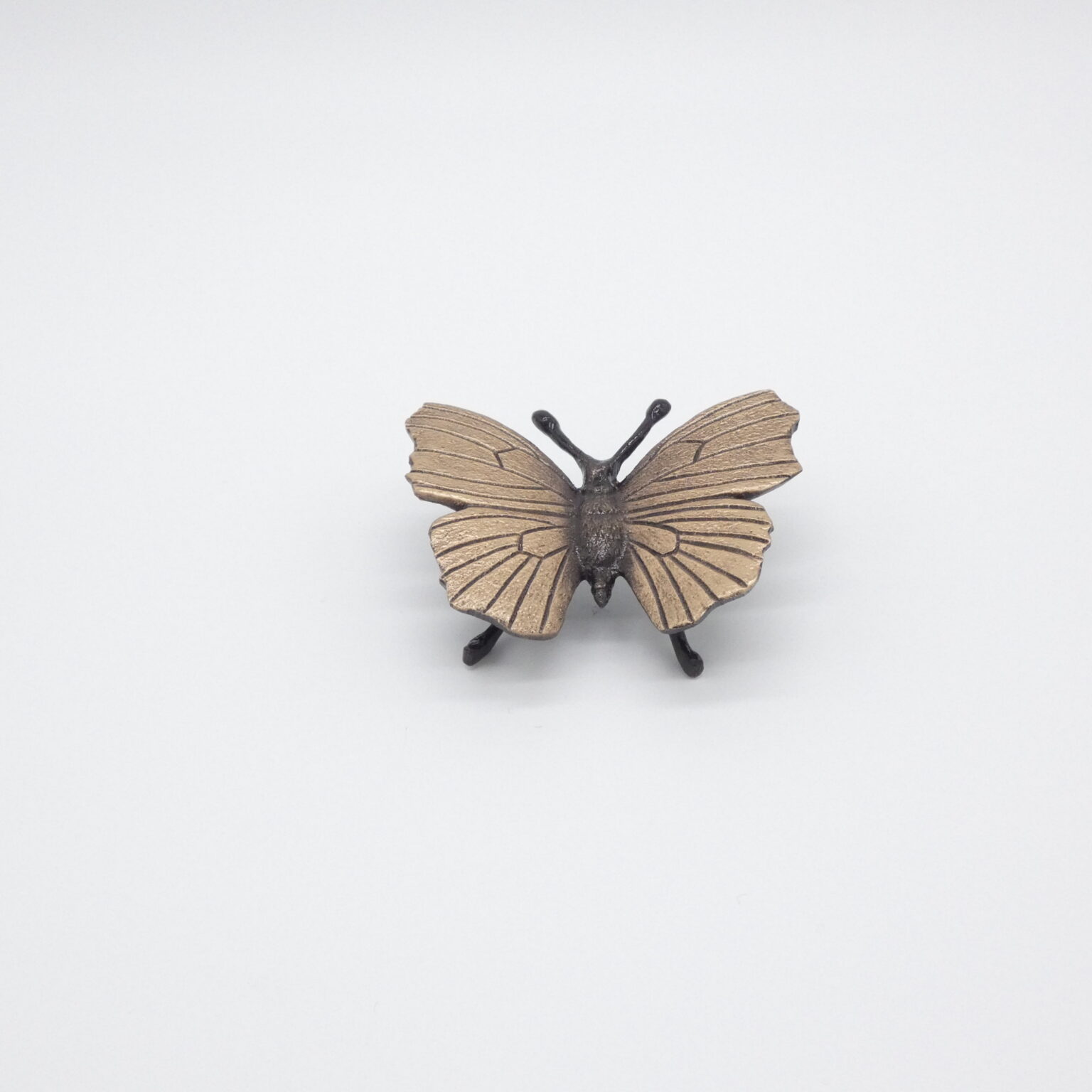 Bronze-Schmetterling mb