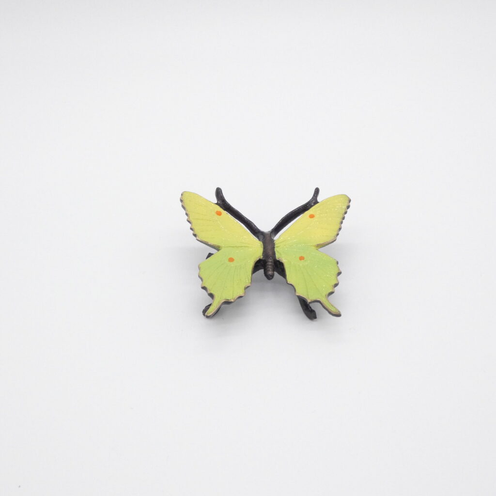 Schmetterling grün-gelb